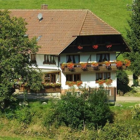 Schusselehof Apartman Oberprechtal Kültér fotó