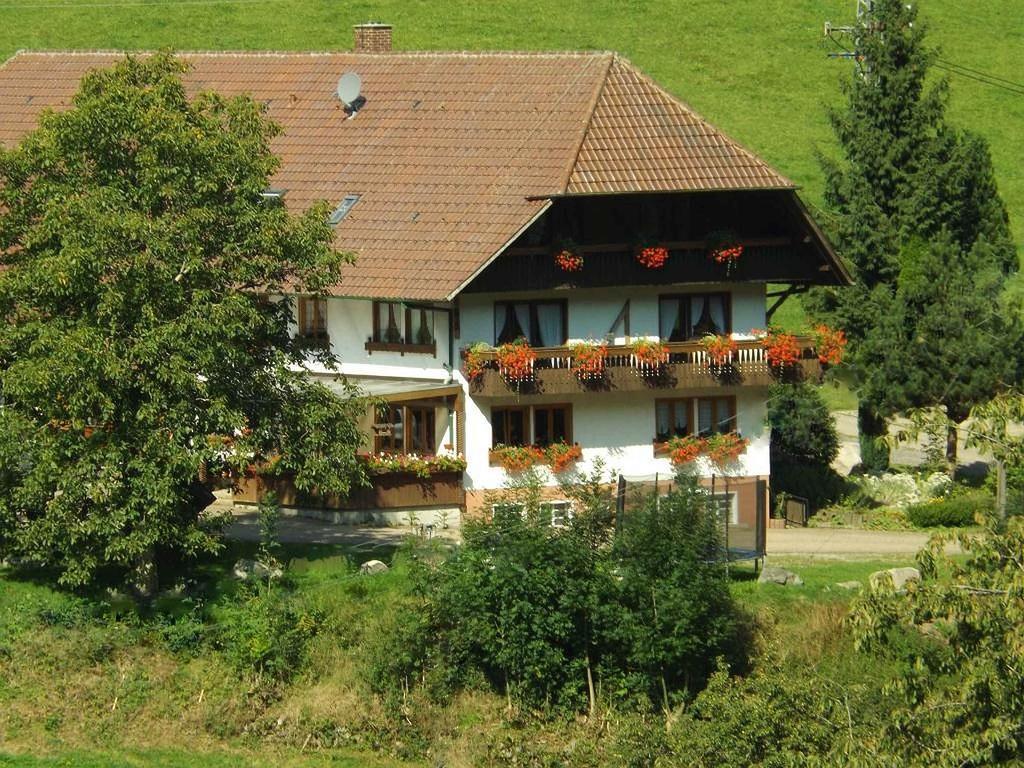 Schusselehof Apartman Oberprechtal Kültér fotó